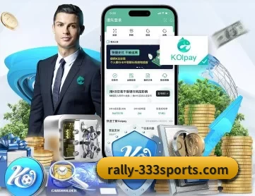 333体育 APP 深度功能