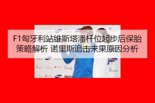 F1匈牙利站维斯塔潘杆位起步后保胎策略解析 诺里斯追击未果原因分析